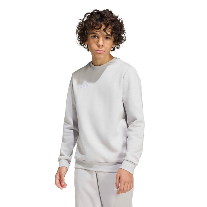 adidas Entrada 26 Sw Topy - tmlggr/white