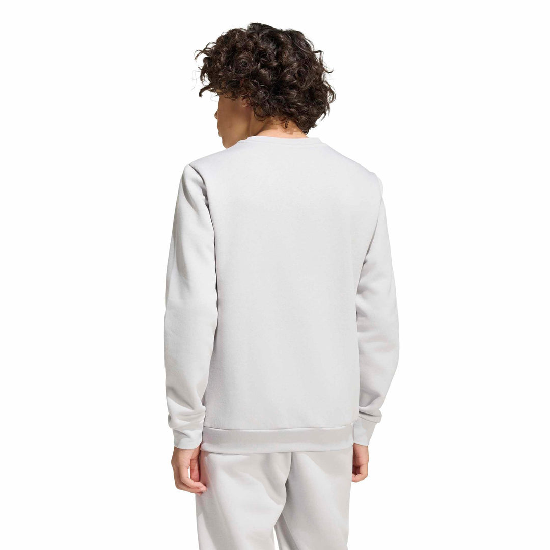adidas Entrada 26 Sw Topy - tmlggr/white