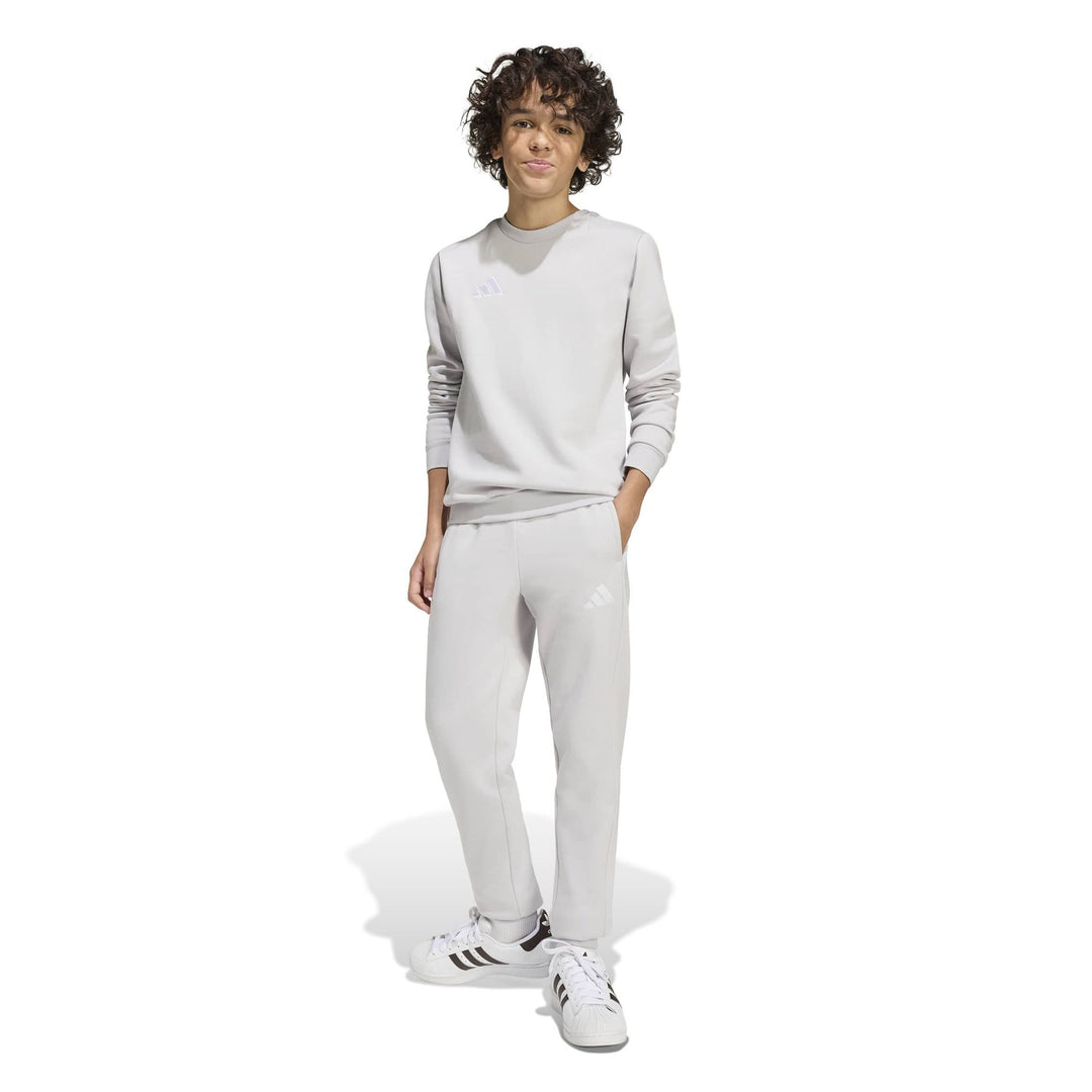 adidas Entrada 26 Sw Topy - tmlggr/white