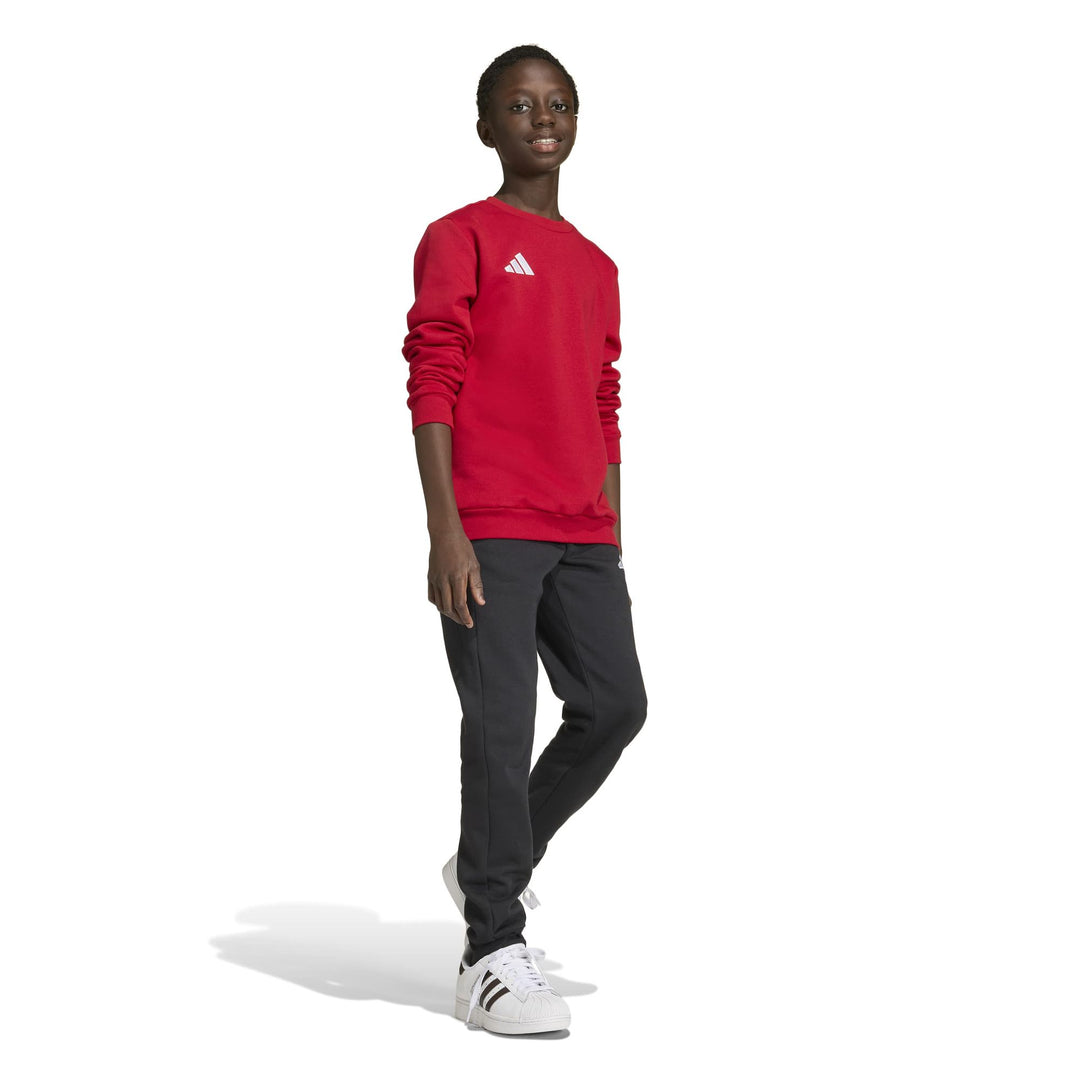 adidas Entrada 26 Sw Topy - tepore/white