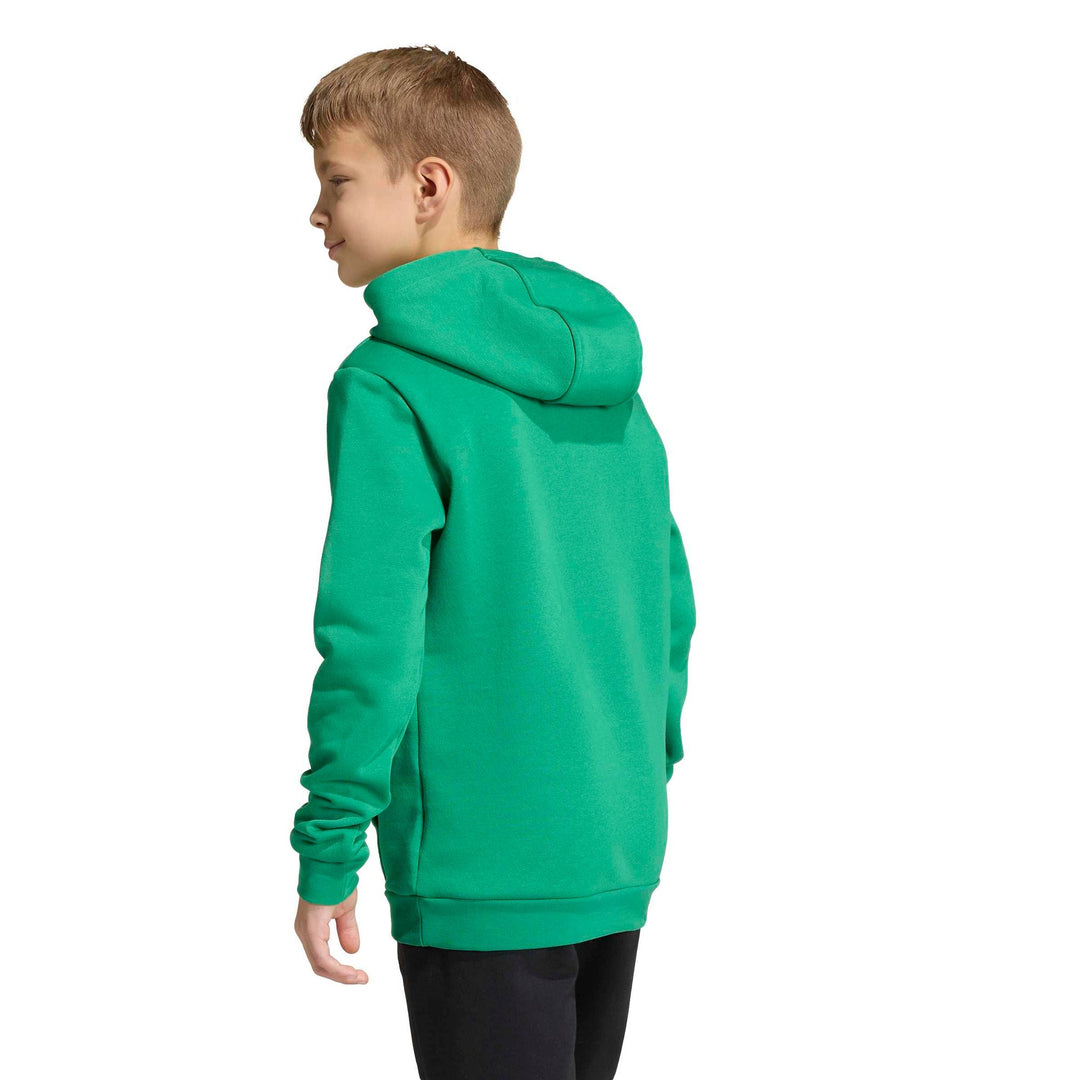 adidas Entrada 26 Hoody Y Kinder - teagrn/white