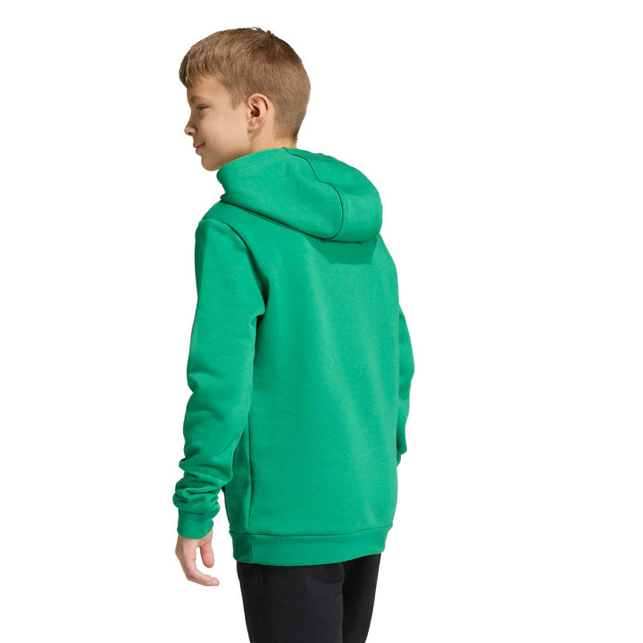 adidas Entrada 26 Hoody Y Kinder - teagrn/white