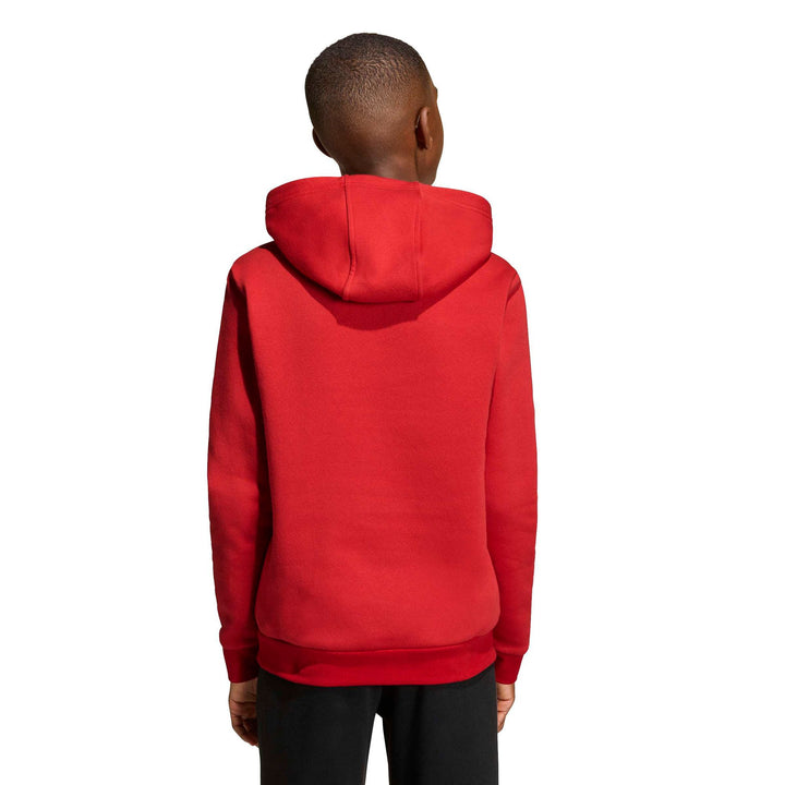 adidas Entrada 26 Hoody Y Kinder - tepore/white
