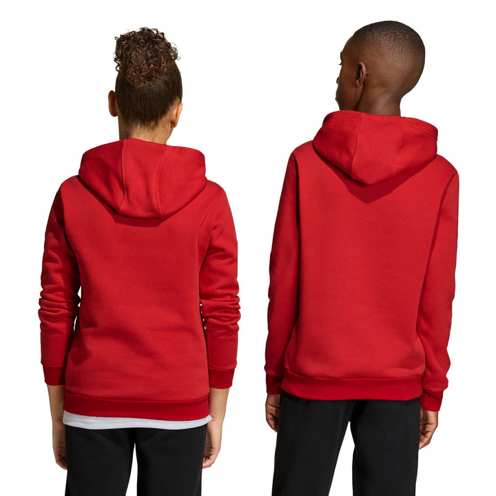 adidas Entrada 26 Hoody Y Kinder - tepore/white