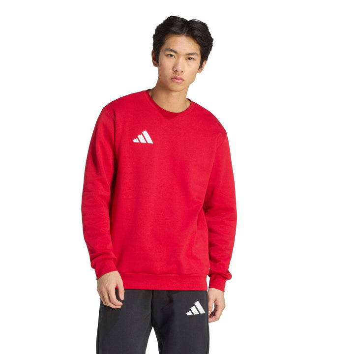 adidas Entrada 26 Sw Top - tepore/white