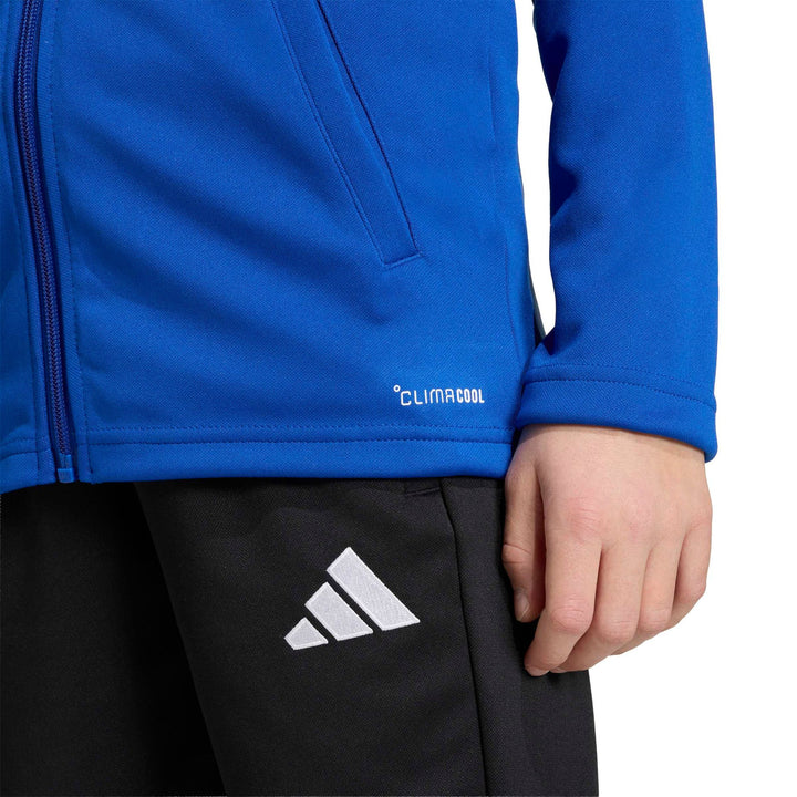 adidas Entrada 26 Tk Jkty - royblu/white