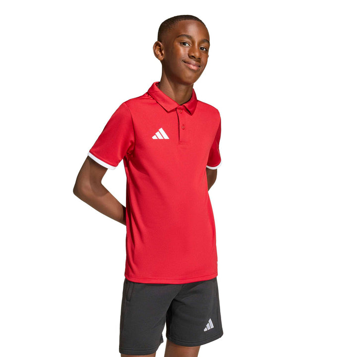 adidas Entrada 26 Polo Y Kinder - tepore/white