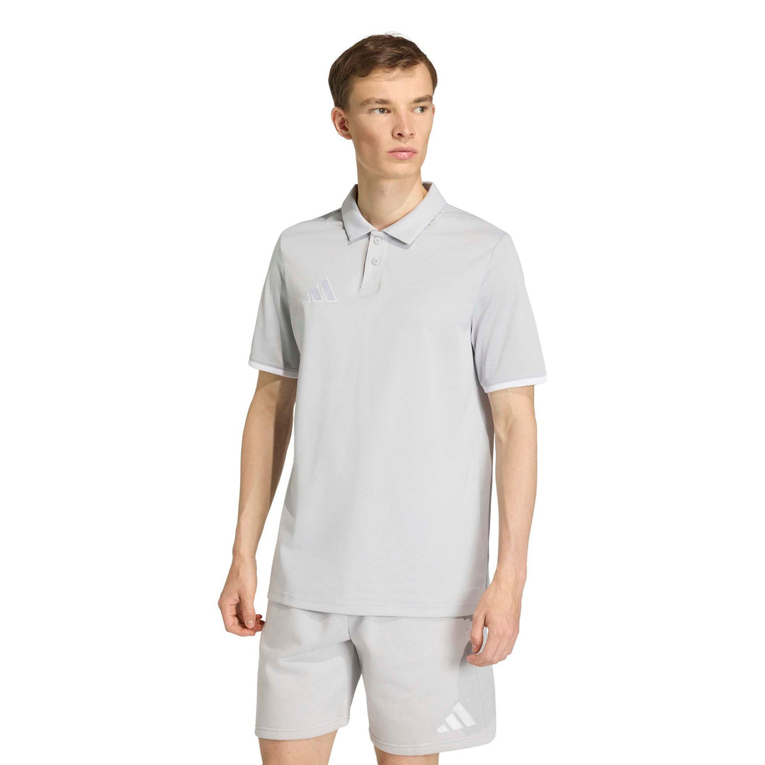 adidas Entrada 26 Polo - tmlggr/white