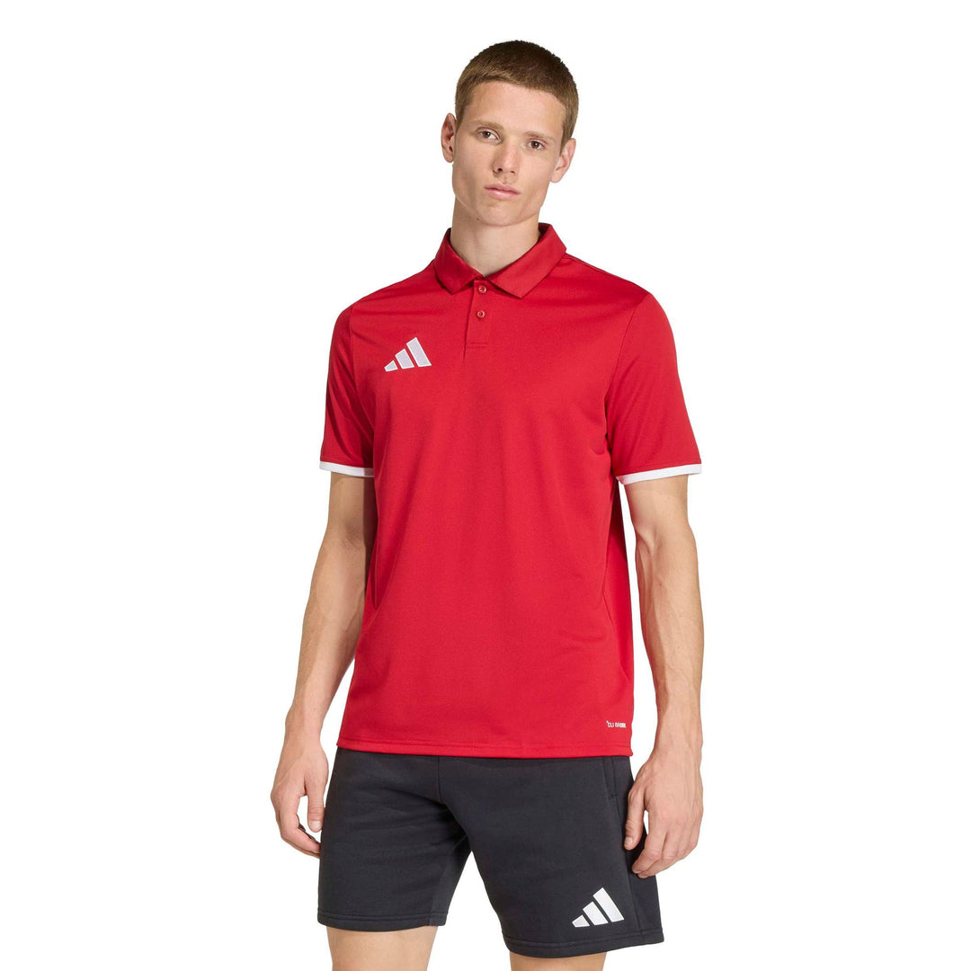 adidas Entrada 26 Polo - tepore/white