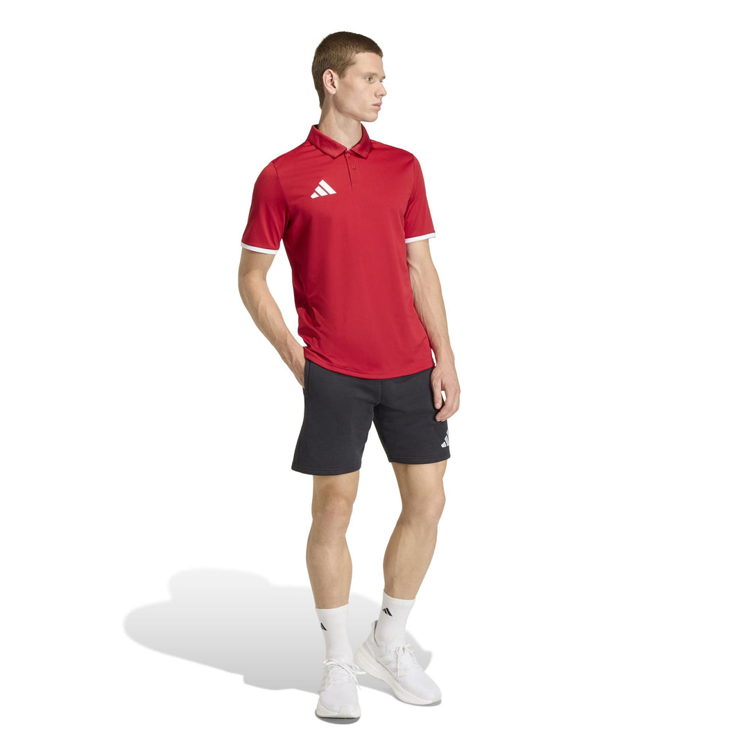 adidas Entrada 26 Polo - tepore/white