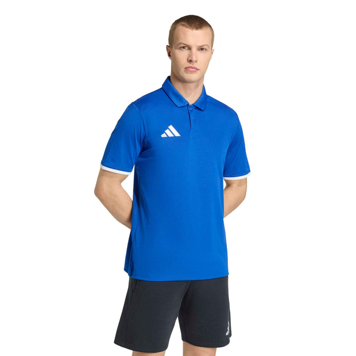 adidas Entrada 26 Polo - royblu/white