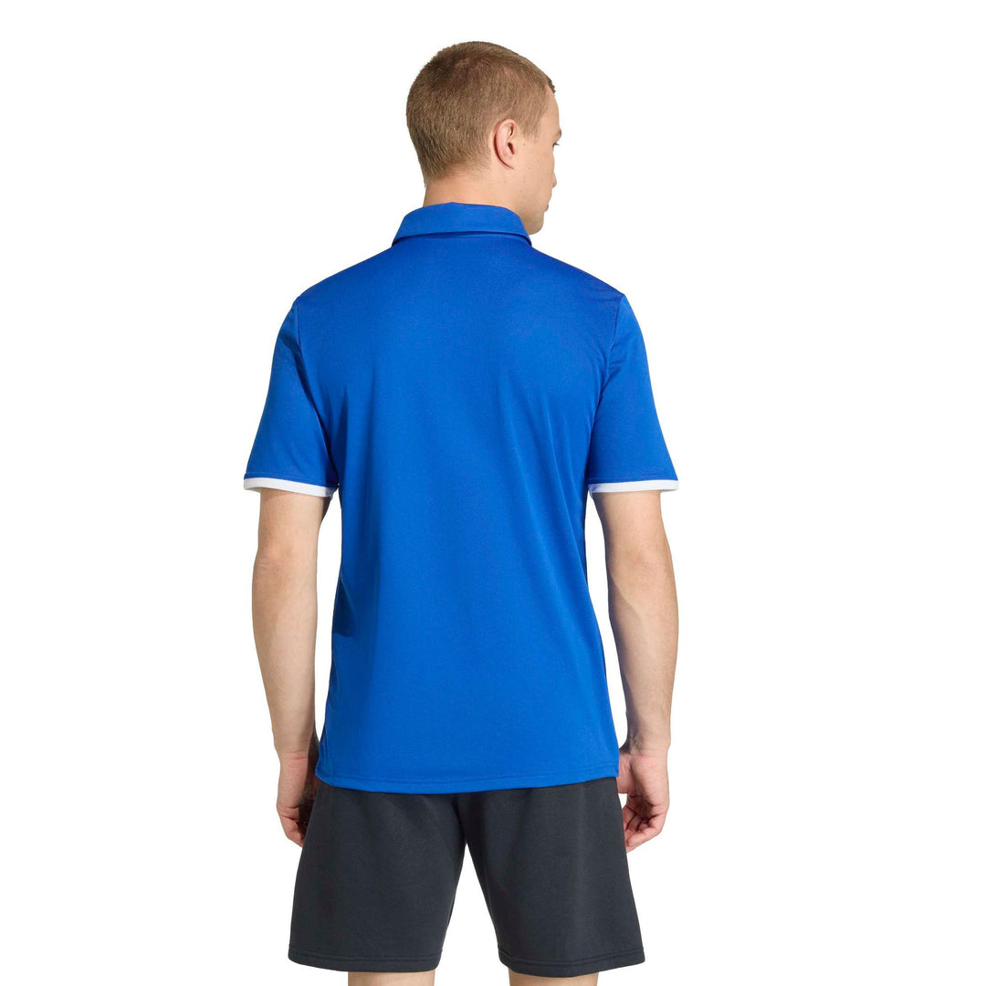 adidas Entrada 26 Polo - royblu/white
