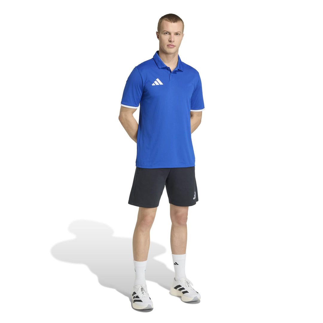 adidas Entrada 26 Polo - royblu/white