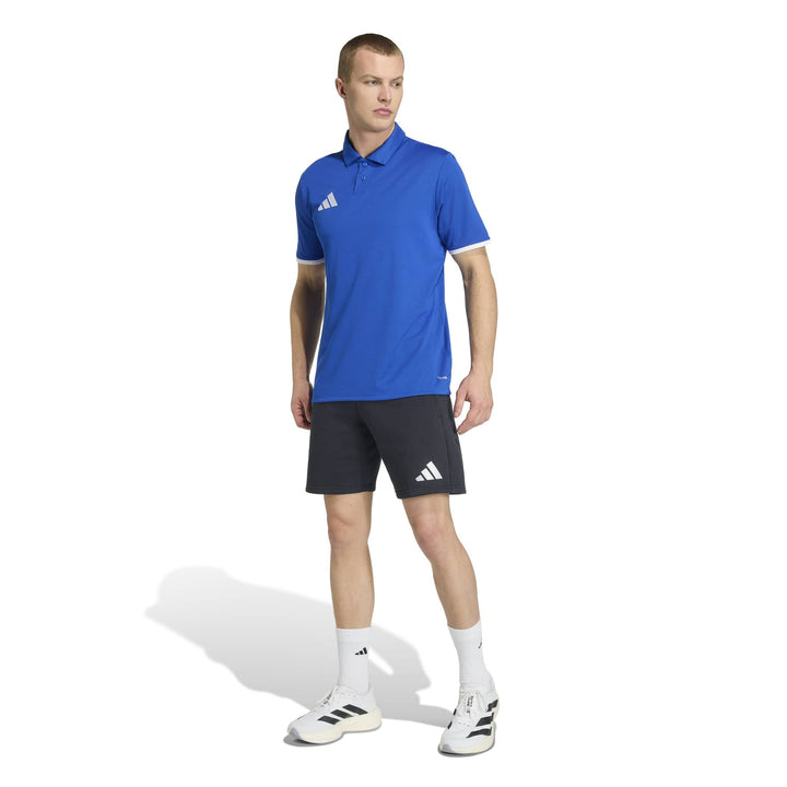 adidas Entrada 26 Polo - royblu/white