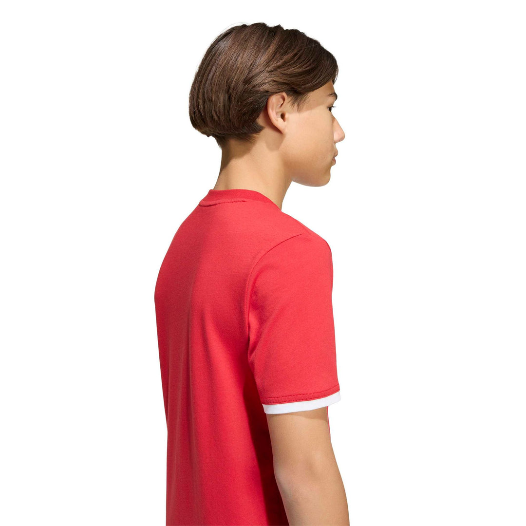 adidas Entrada 26 Tee Y Kinder - tepore/white