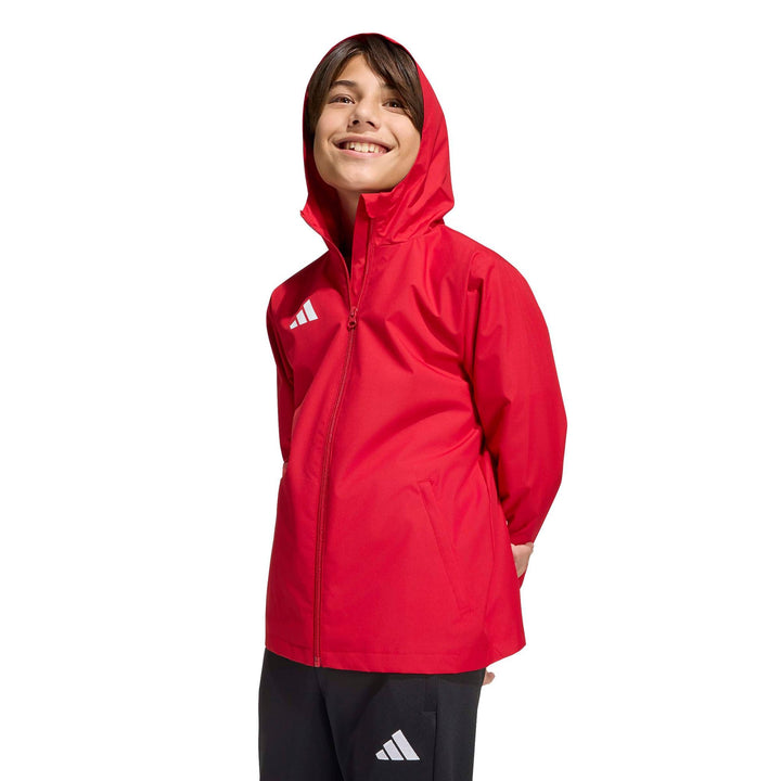 adidas Entrada 26 Aw Jkty - tepore/white