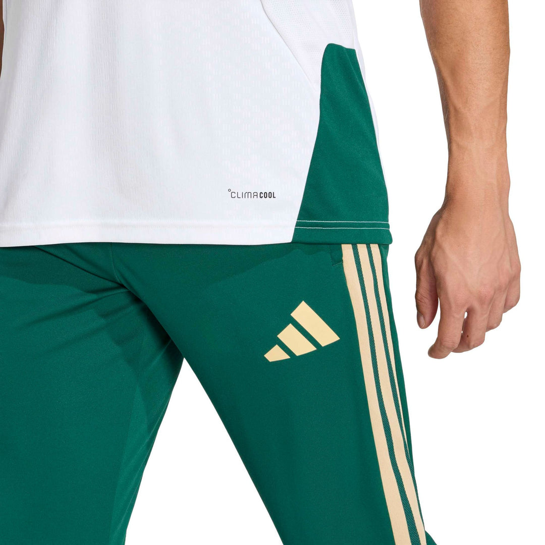 adidas Figc Tr Pnt - cgreen