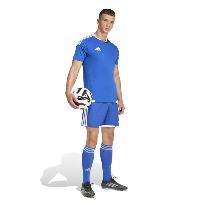 adidas Tiro26 C M Jsym - royblu/white