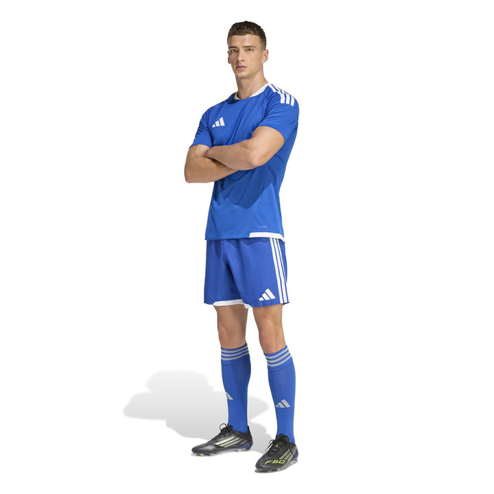 adidas Tiro26 C M Jsym - royblu/white