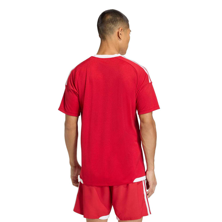 adidas Tiro26 C M Jsym - tepore/white