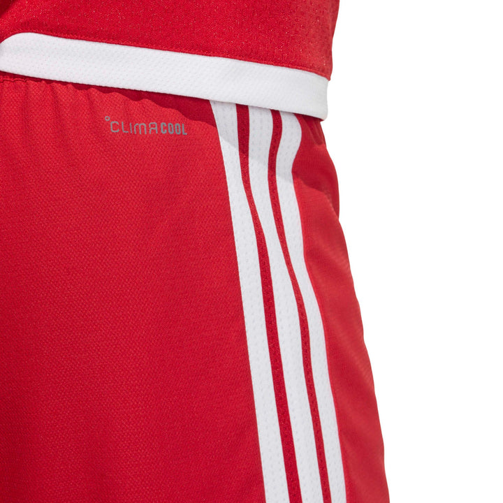 adidas Tiro26 C M Shom - tepore/white