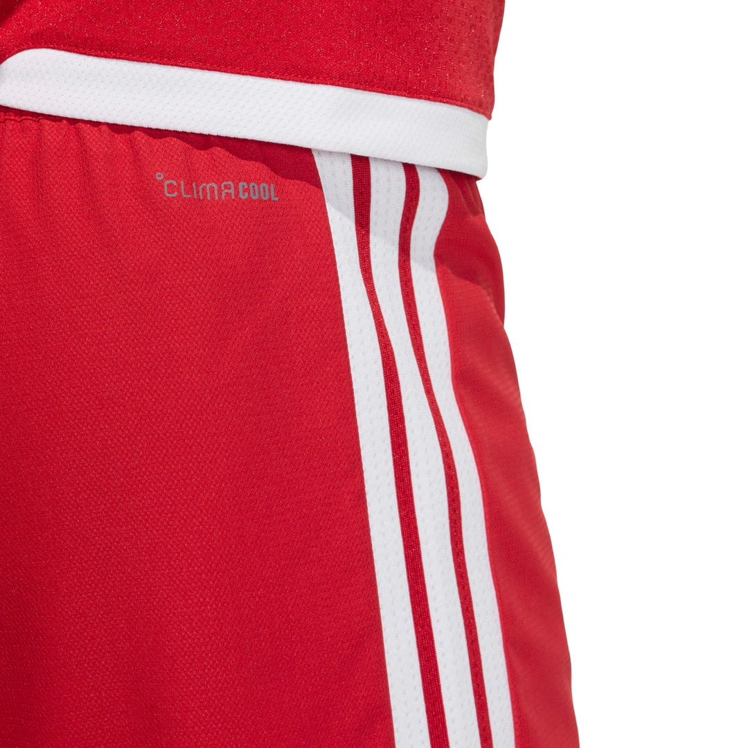 adidas Tiro26 C M Shom - tepore/white