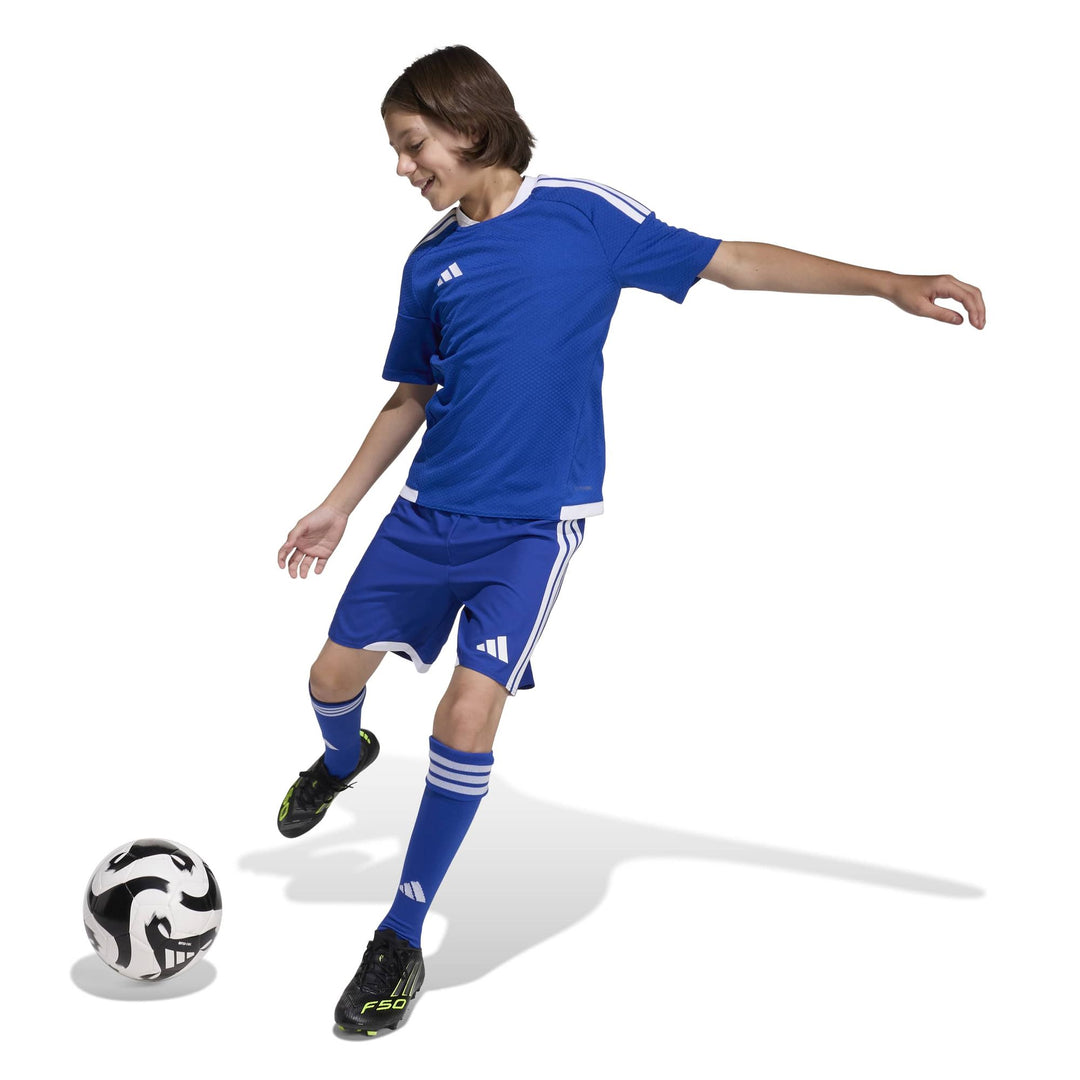 adidas Tiro26 C M Shoy - royblu/white