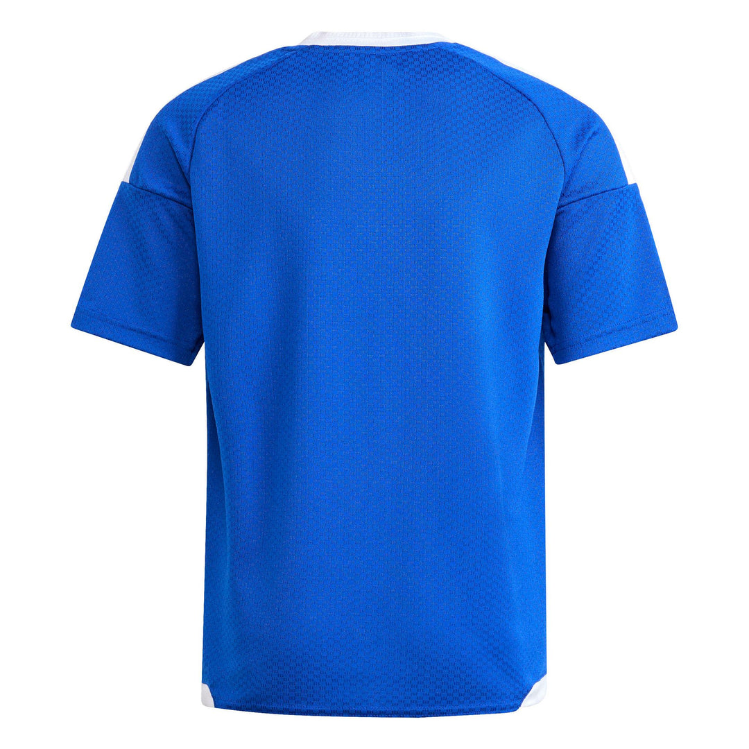 adidas Tiro26 C M Jsyy - royblu/white