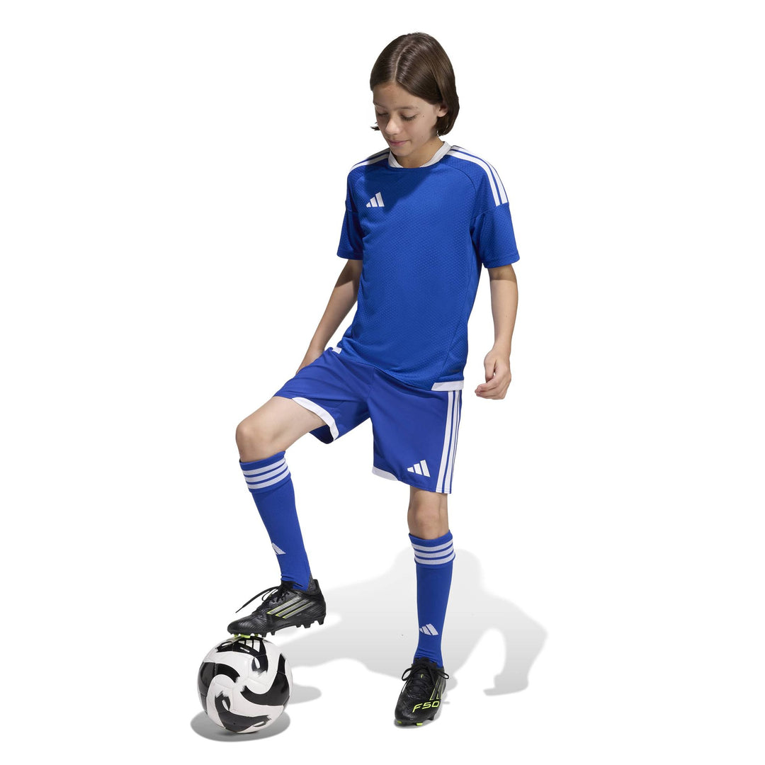 adidas Tiro26 C M Jsyy - royblu/white