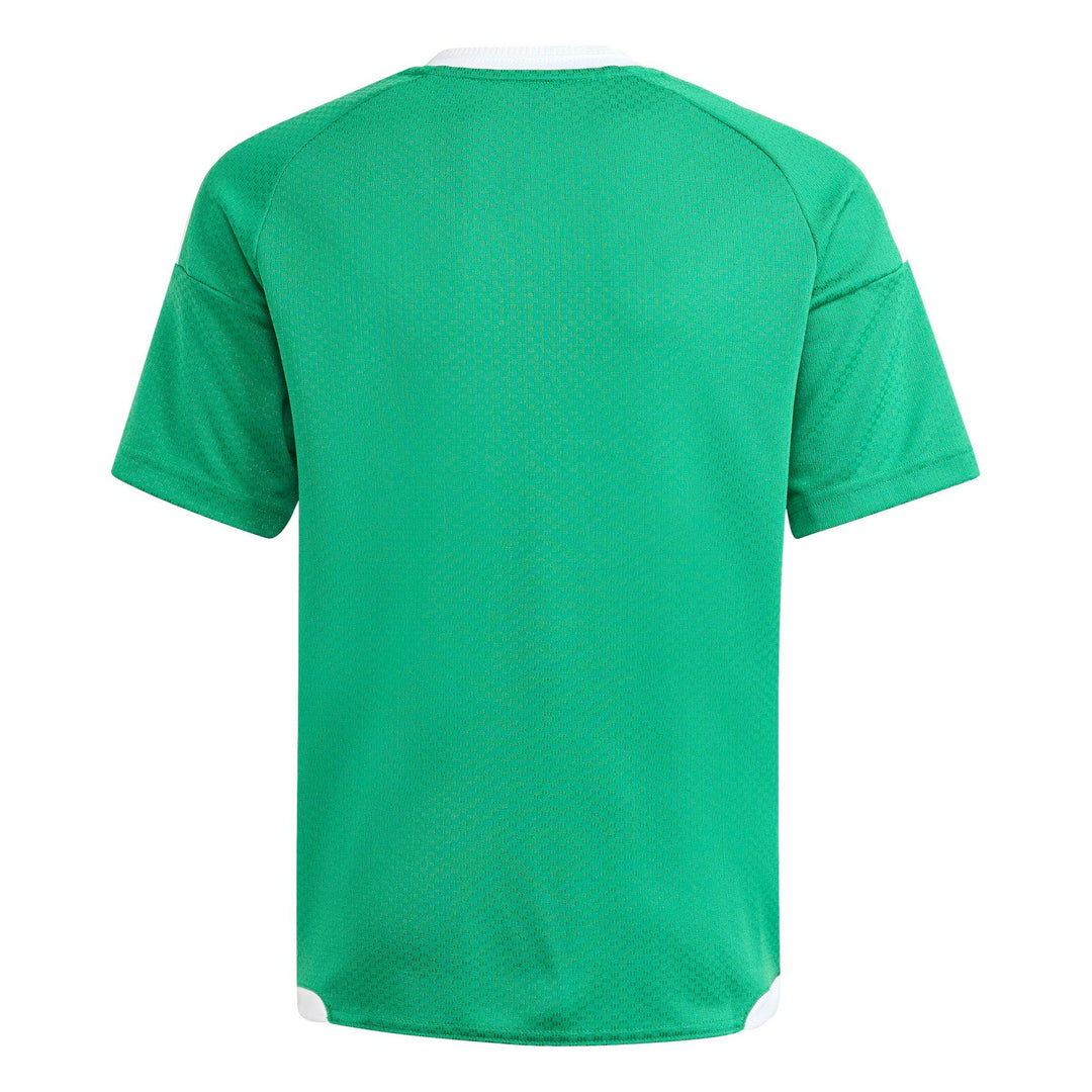 adidas Tiro26 C M Jsyy - teagrn/white