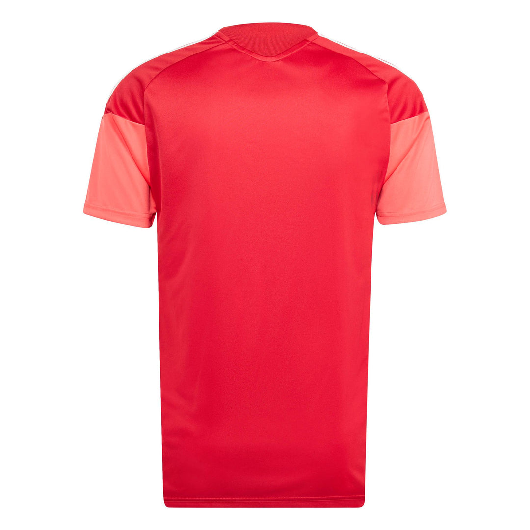 adidas Tiro26C Jsy - tepore