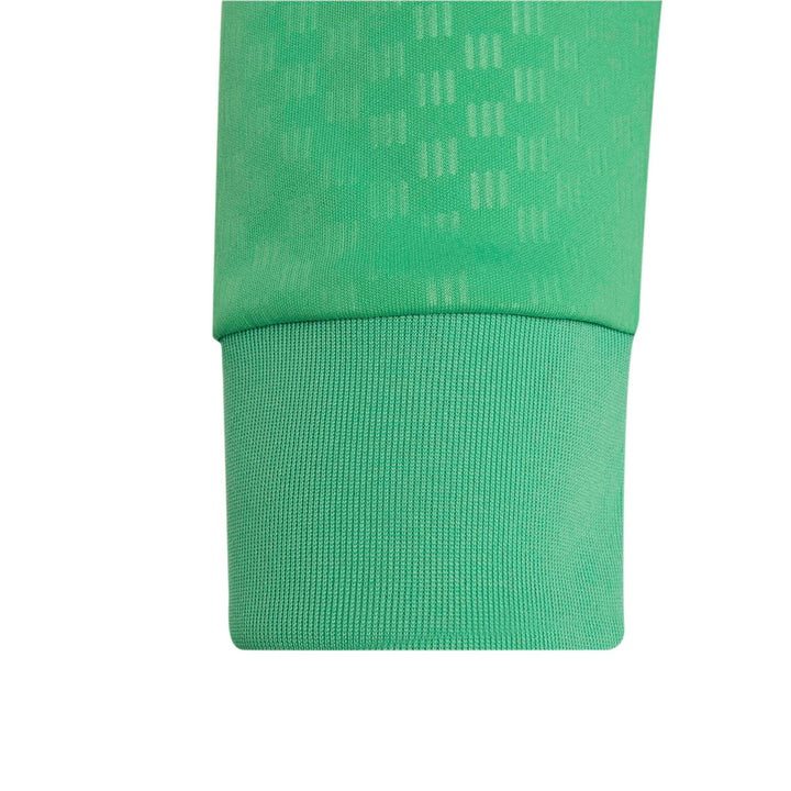 adidas Tiro26C Tr Jkty - teagrn