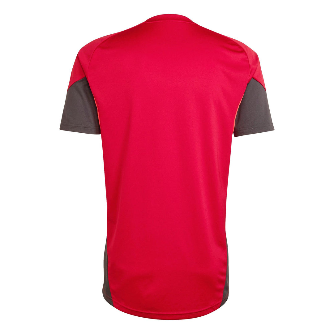 adidas Lfc Tr Jsy - strred