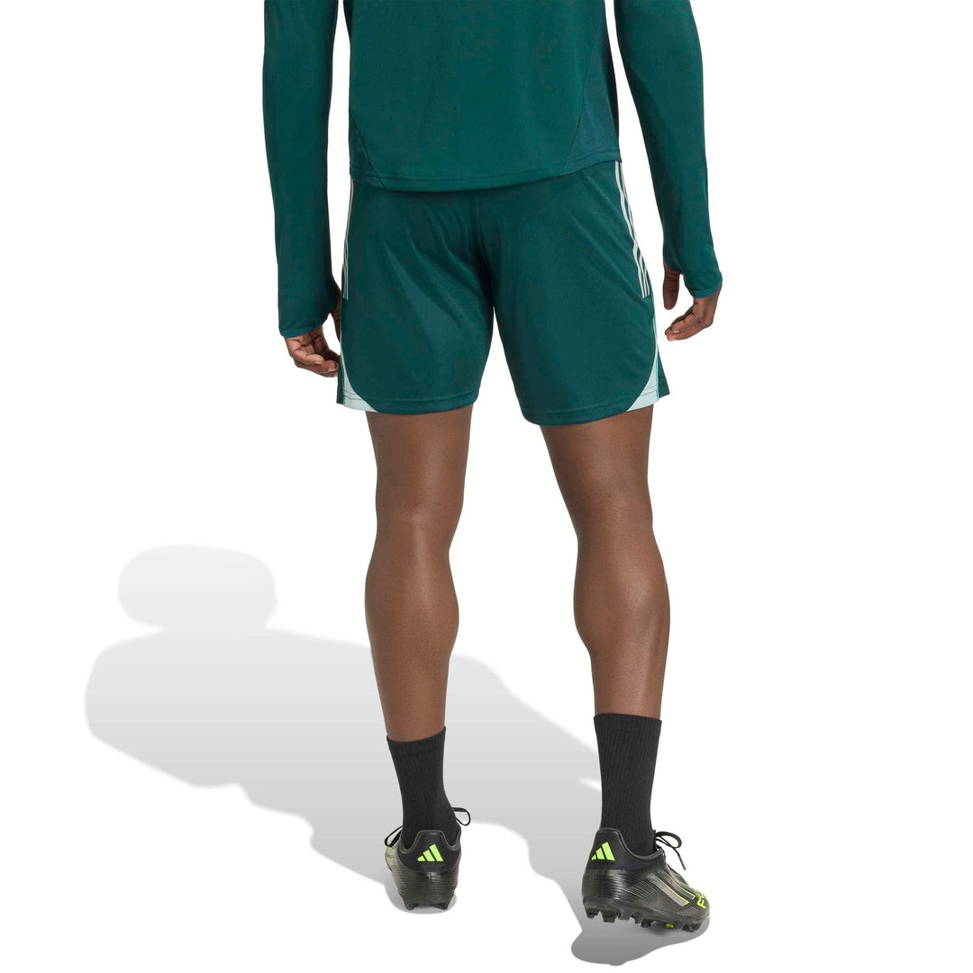 adidas Afc Tr Sho - aurivy