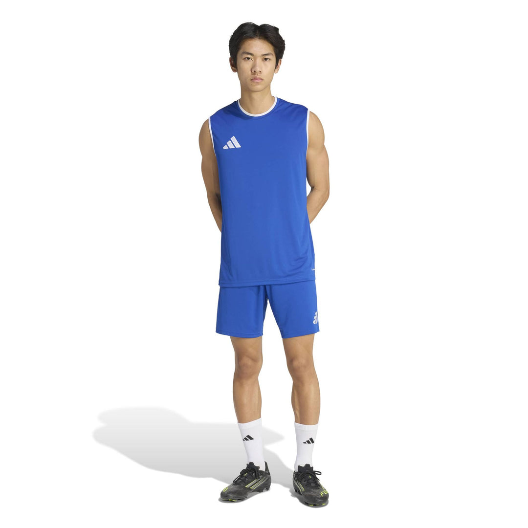 adidas Entrada 26 Sl Jsy - royblu/white