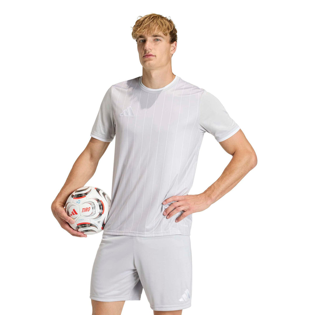 adidas Entrada 26 Gfx Jsy - tmlggr/white