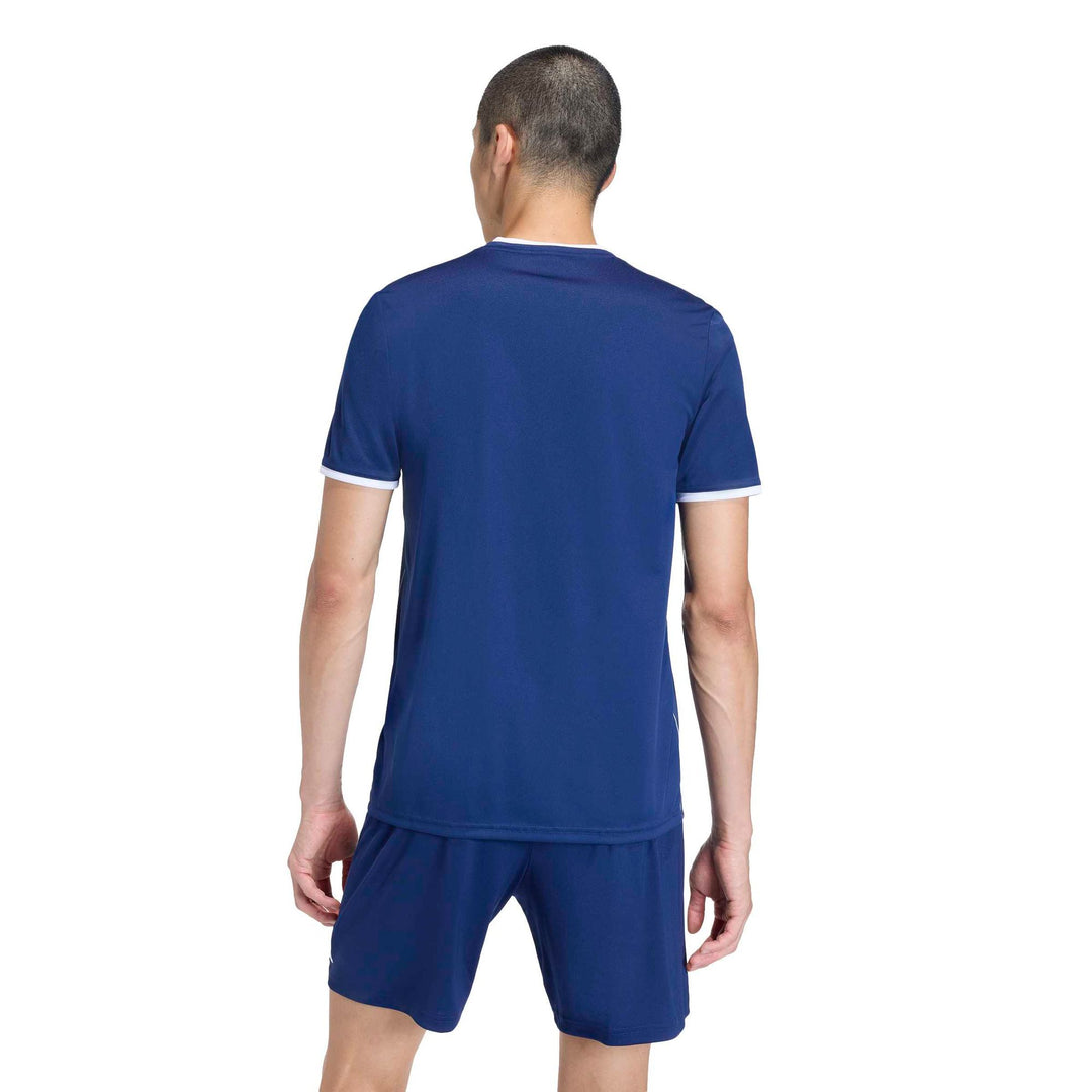 adidas Entrada 26 Gfx Jsy - tenabl/white