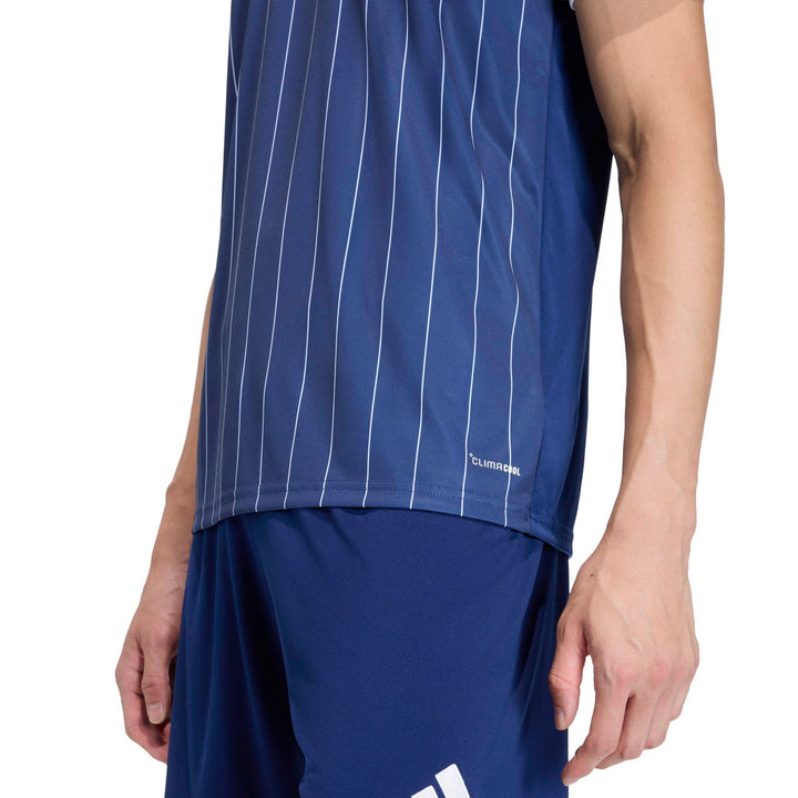 adidas Entrada 26 Gfx Jsy - tenabl/white