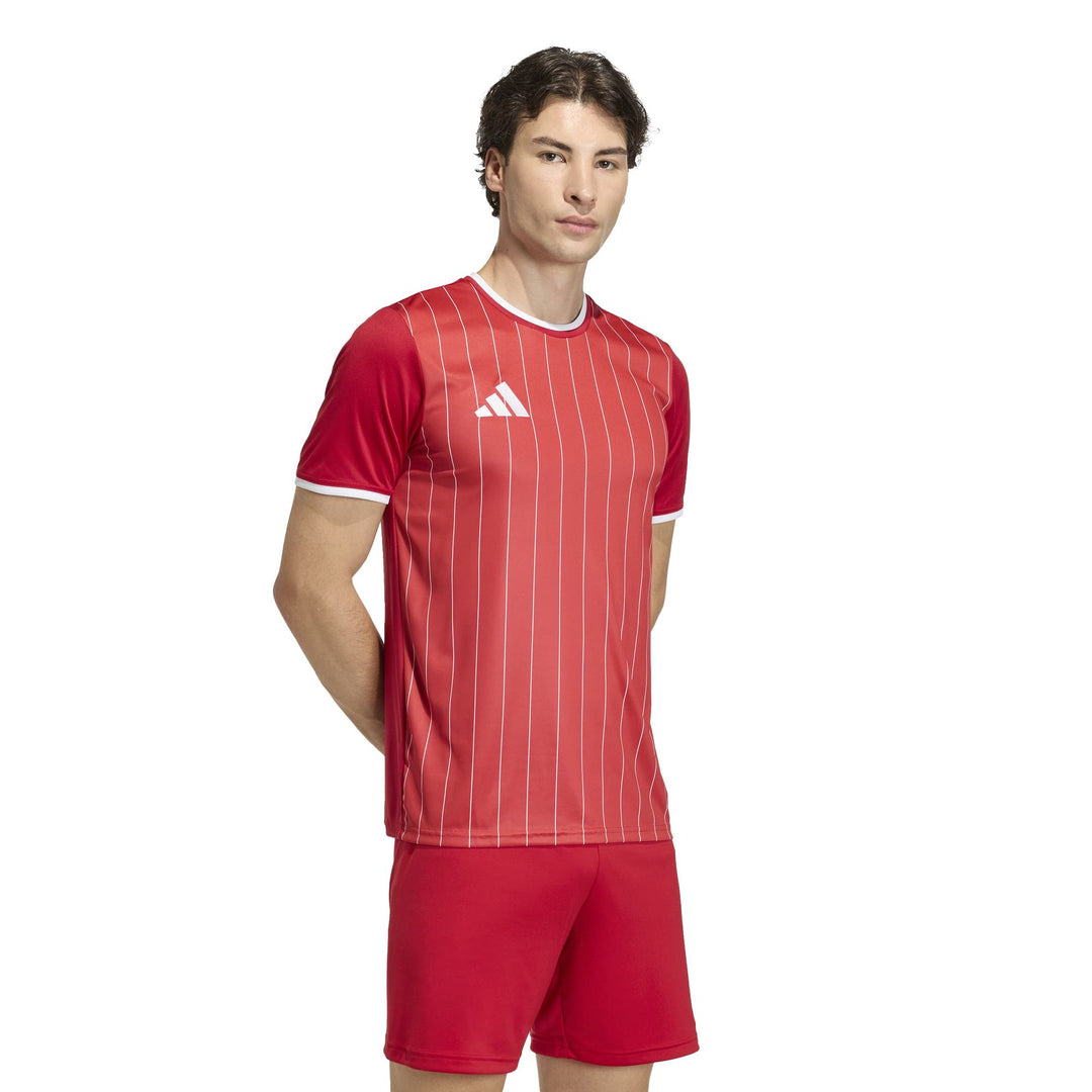adidas Entrada 26 Gfx Jsy - tepore/white