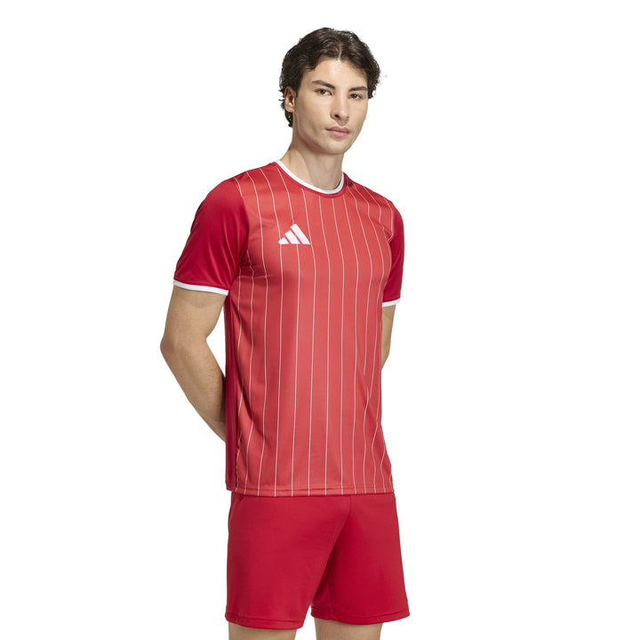 adidas Entrada 26 Gfx Jsy - tepore/white