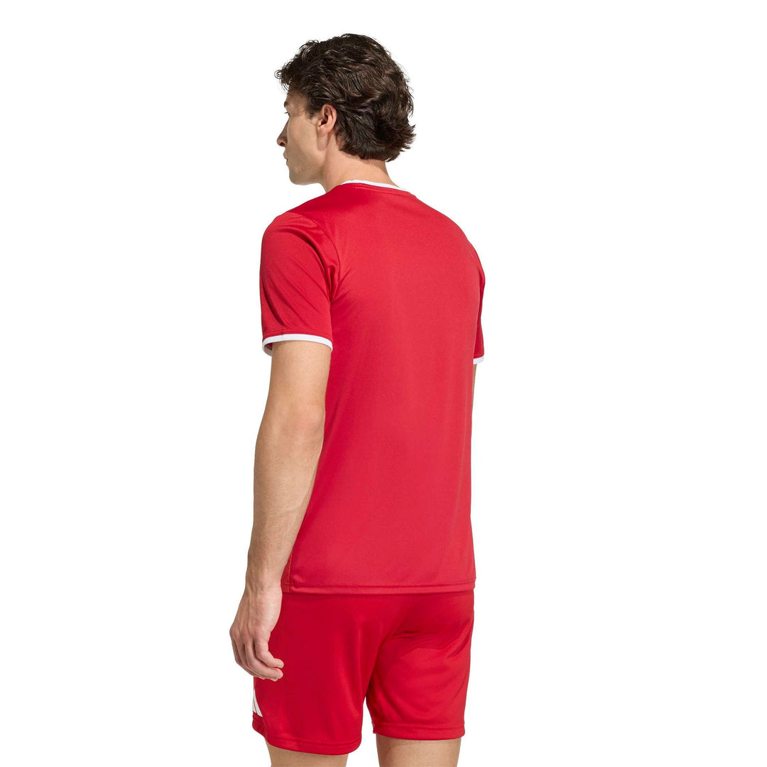adidas Entrada 26 Gfx Jsy - tepore/white