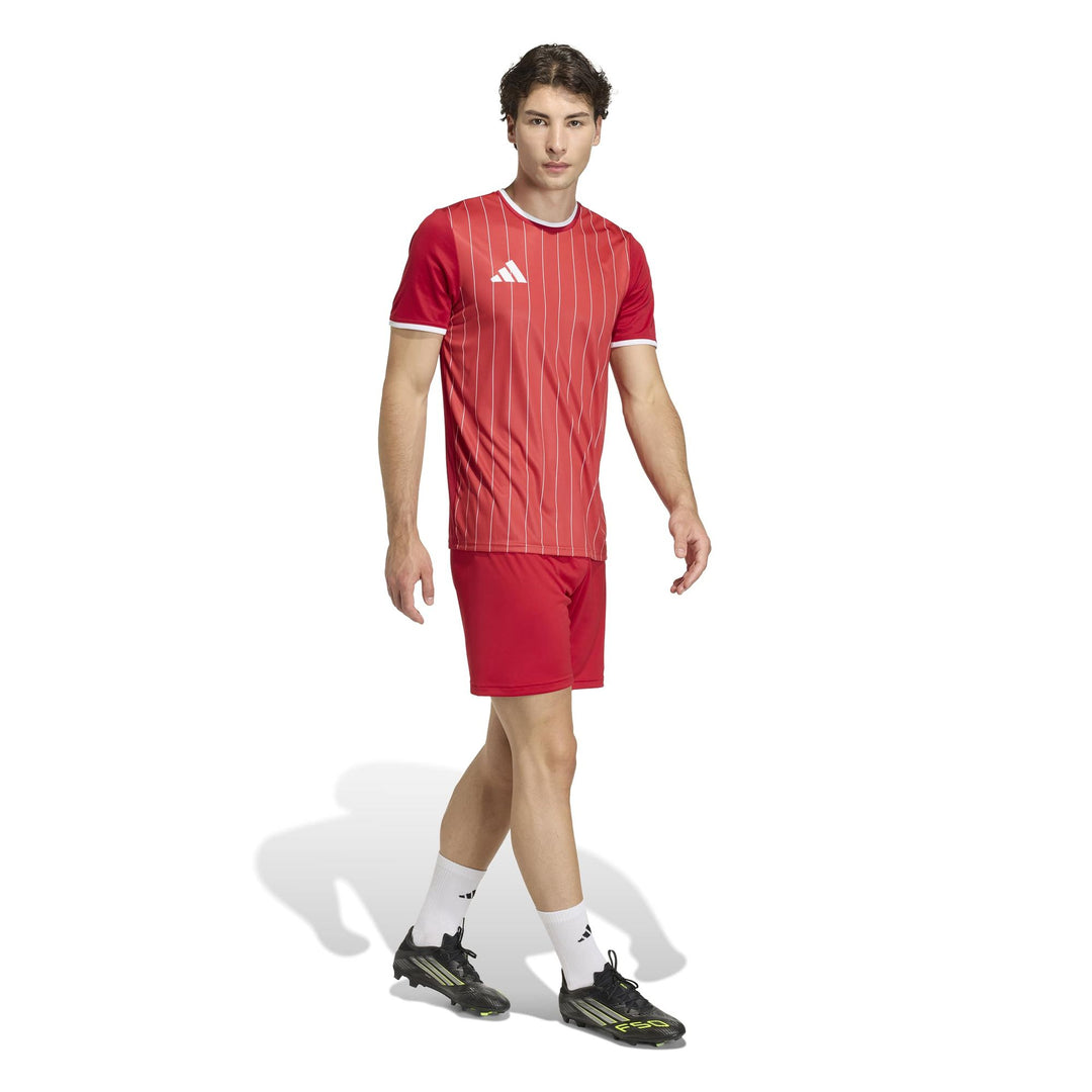 adidas Entrada 26 Gfx Jsy - tepore/white