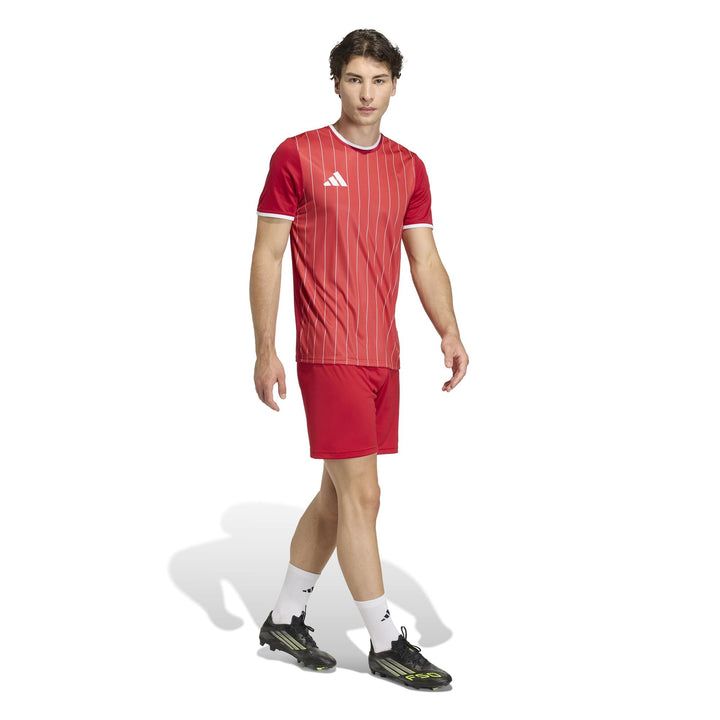 adidas Entrada 26 Gfx Jsy - tepore/white