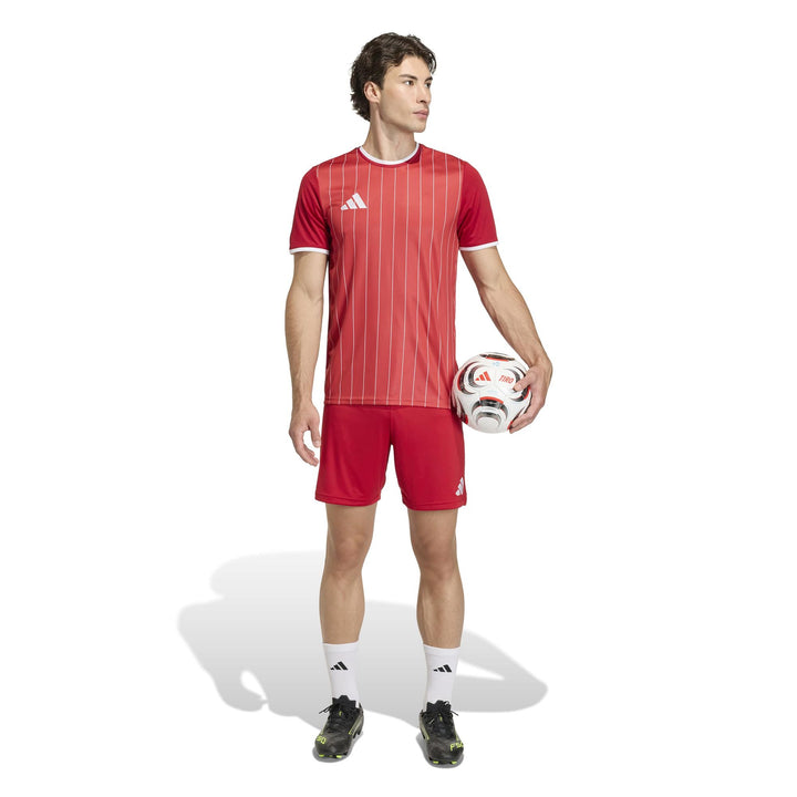 adidas Entrada 26 Gfx Jsy - tepore/white