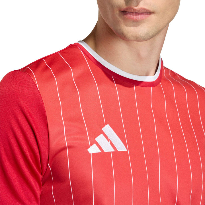 adidas Entrada 26 Gfx Jsy - tepore/white