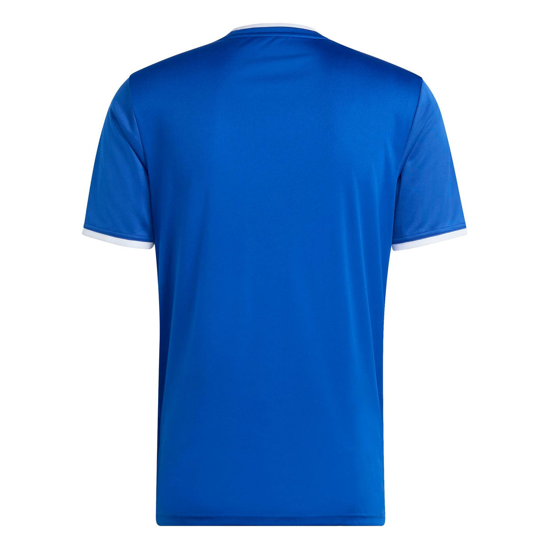 adidas Entrada 26 Gfx Jsy - royblu/white