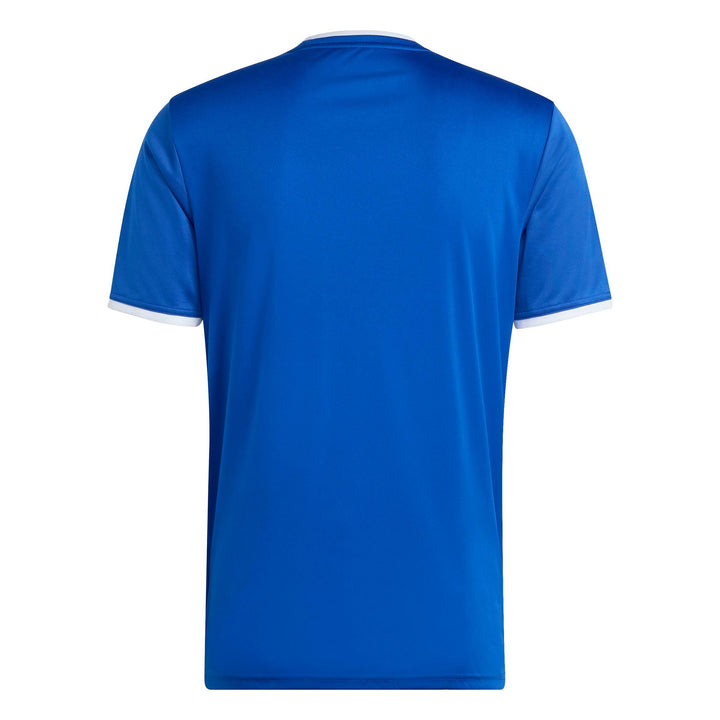 adidas Entrada 26 Gfx Jsy - royblu/white