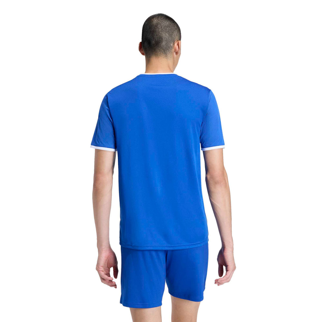 adidas Entrada 26 Gfx Jsy - royblu/white