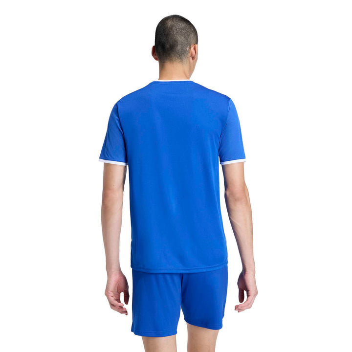 adidas Entrada 26 Gfx Jsy - royblu/white