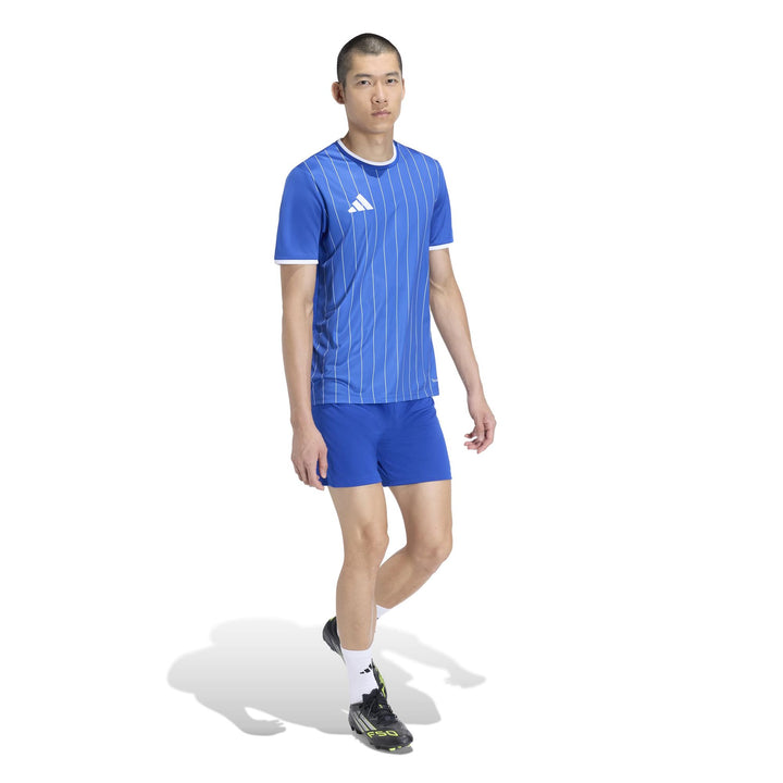 adidas Entrada 26 Gfx Jsy - royblu/white